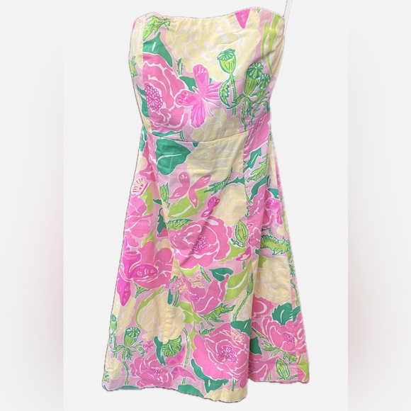 Lilly Pulitzer Dress - Picture 1 of 3